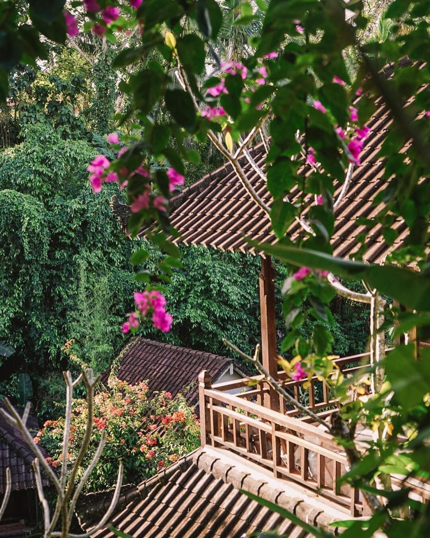 Down The Rabbit Hole Apartment Ubud  Exterior photo